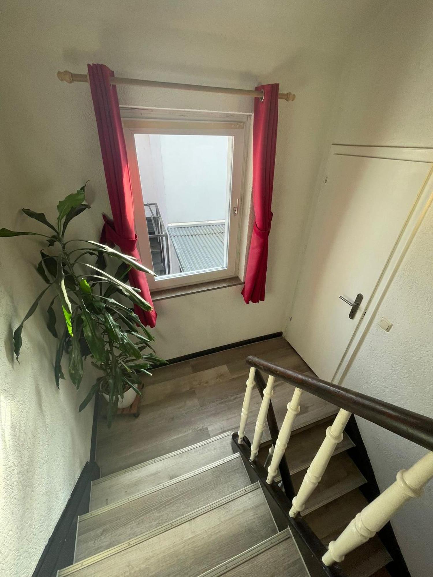 Leo Apartment Zentrum 吕塞尔斯海姆 外观 照片