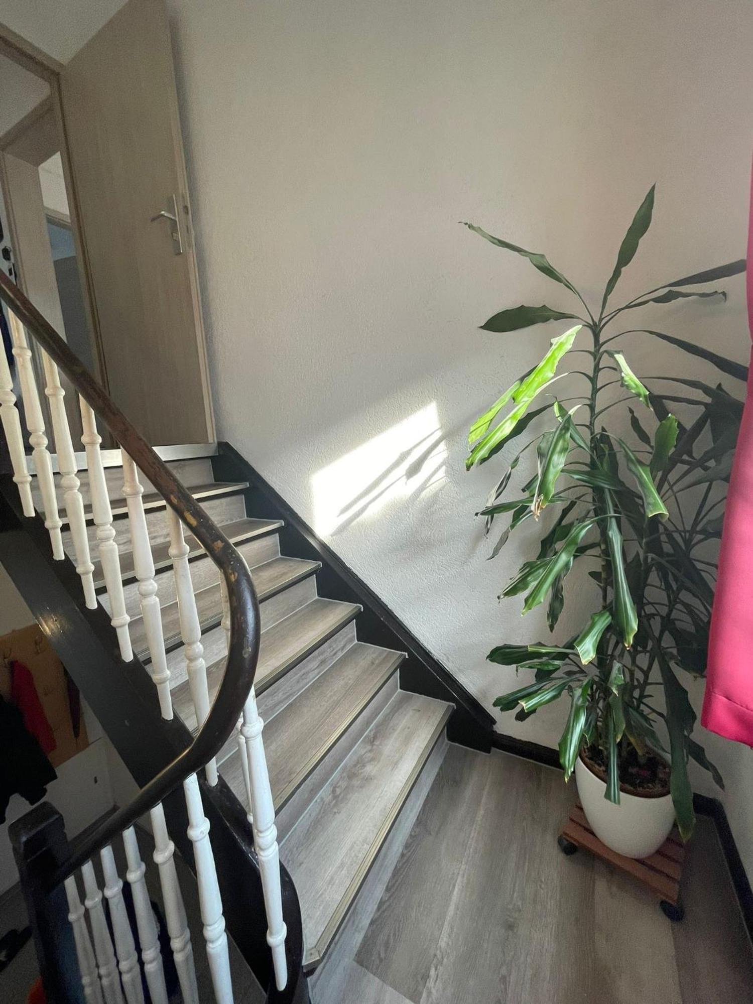 Leo Apartment Zentrum 吕塞尔斯海姆 外观 照片